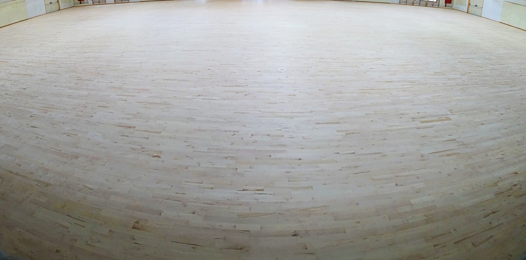 דרגות מיון של עץ מייפל